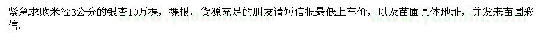 求購米徑3公分的銀杏
