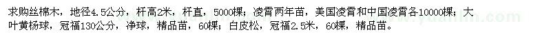求購絲棉木,凌霄,大葉黃楊球,白皮松