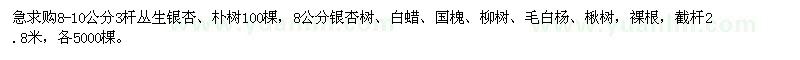 求購銀杏,樸樹,白蠟,國槐,柳樹