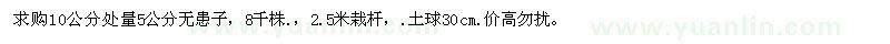 求購10公分處量5公分無患子