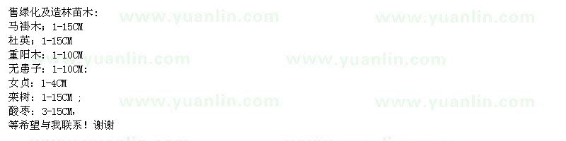 求購(gòu)馬褂木、杜英、重陽(yáng)木等