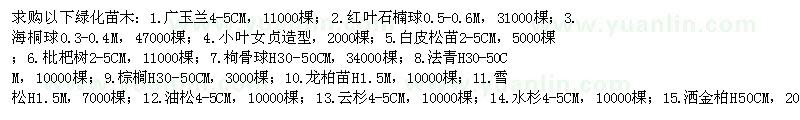求購廣玉蘭、紅葉石楠球、海桐球、小葉女貞等