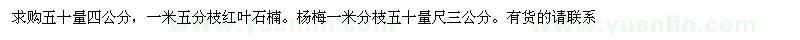求購紅葉石楠、楊梅