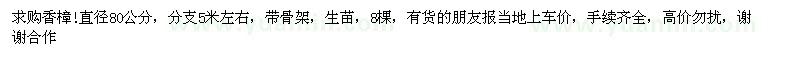 求購香樟80公分