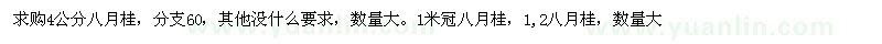 求購(gòu)4公分八月桂數(shù)量大