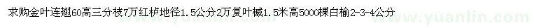 求購金葉連翹