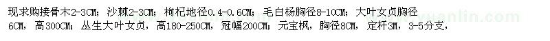 求購(gòu)接骨木,沙棘,大葉女貞,元寶楓,法桐,國(guó)槐