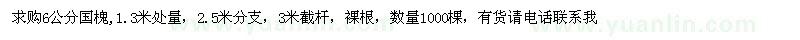 求購(gòu)6公分國(guó)槐,1.3米處量，2.5米分支