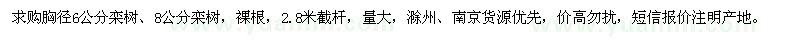 求購胸徑6公分欒樹,8公分欒樹