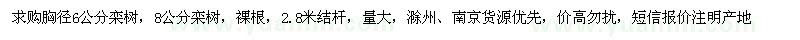 求購胸徑6公分欒樹，8公分欒樹