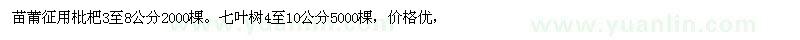 求購枇杷，七葉樹