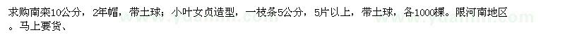 求購(gòu)南欒,小葉女貞造型