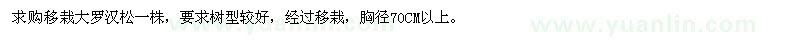 求購(gòu)移栽大羅漢松
