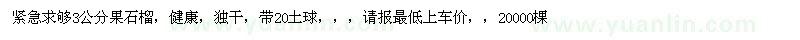 求購果石榴