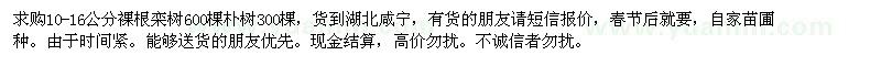 求購10-16公分裸根欒樹 樸樹