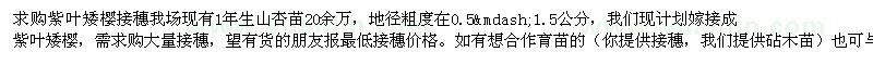 求購紫葉矮櫻接穗