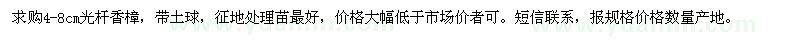 求購4-8cm光桿香樟 帶土球  