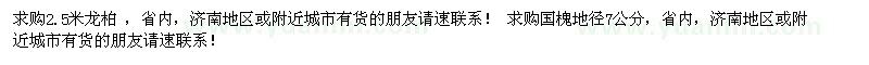 求購2.5米龍柏 國槐地徑7公分