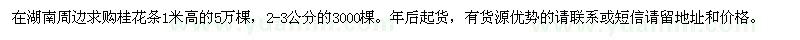 求購(gòu)2-3公分和1米高的八月桂