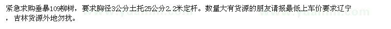 求購(gòu)垂暴109柳樹(shù)