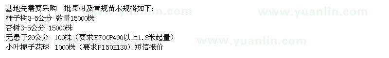 求購(gòu)杏樹(shù)、柿子樹(shù)、無(wú)患子