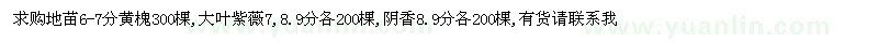 求購(gòu)黃槐、大葉紫薇、陰香