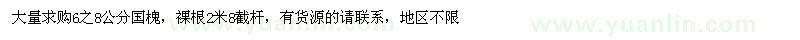 求購6之8公分國槐