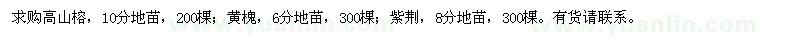 求購(gòu)高山榕,黃槐,紫荊