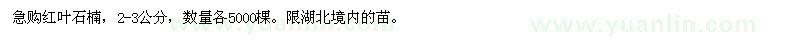 求購2-3公分紅葉石楠