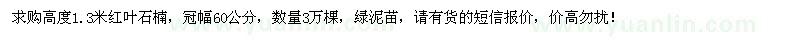 求購高度1.3米紅葉石楠3萬棵