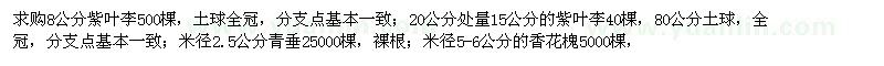 求購紫葉李,青垂,香花槐,冬青球