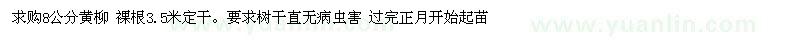 求購(gòu)8公分黃柳