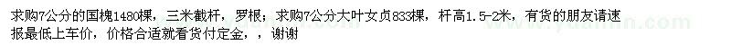 求購(gòu)國(guó)槐、大葉女貞