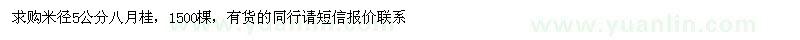 求購米徑5公分八月桂