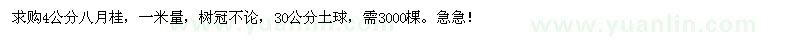 求購4公分八月桂
