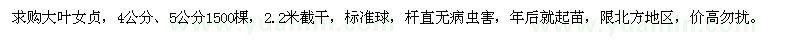 求購4公分,5公分大葉女貞