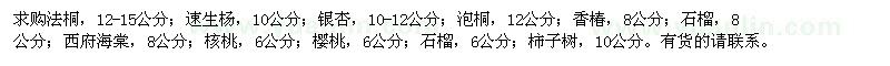 求購法桐,速生楊,銀杏,櫻桃,石榴,柿子樹