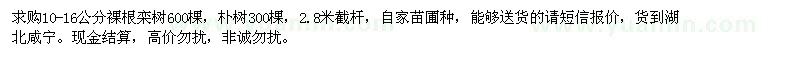 求購10-16公分裸根欒樹,樸樹