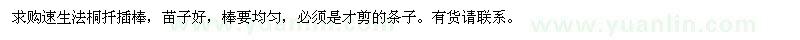 求購速生法桐扦插棒
