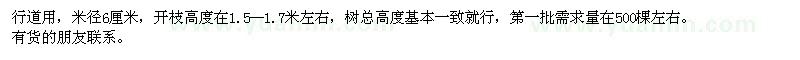 求購米徑6厘米的廣玉蘭
