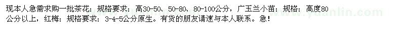 求購(gòu)茶花,廣玉蘭,紅梅