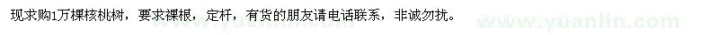 求購1萬棵核桃樹