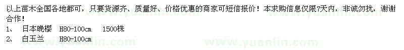求購日本晚櫻,白玉蘭