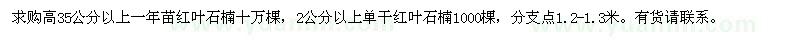 求購紅葉石楠