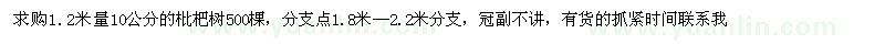 求購(gòu)1.2米量10公分的枇杷樹(shù)500棵