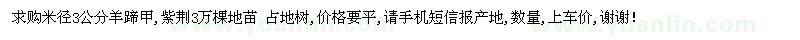 求購羊蹄甲,紫荊