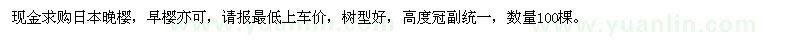 求購12cm櫻花