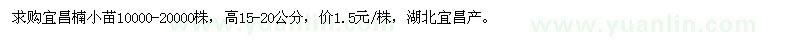 求購(gòu)宜昌楠小苗