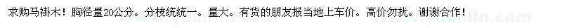 求購馬褂木20公分