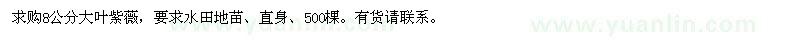 求購8公分大葉紫薇
